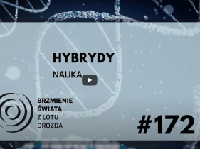 zdjęcie poglądowe