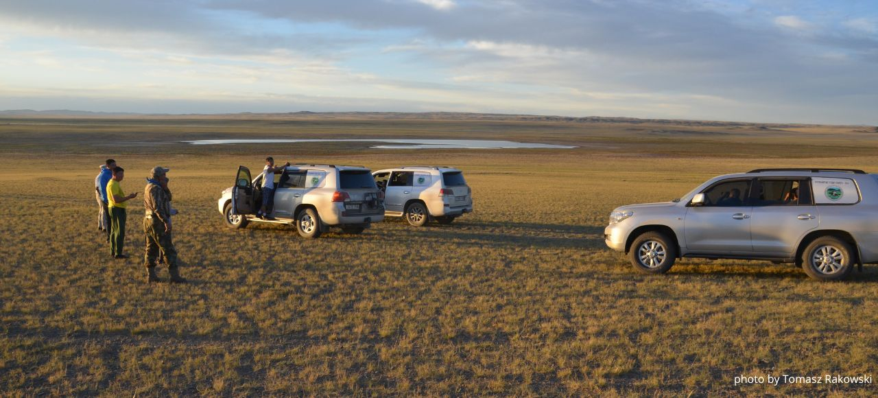 photo of people and cars on the steppe