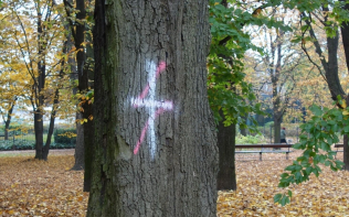 zdjęcie poglądowe