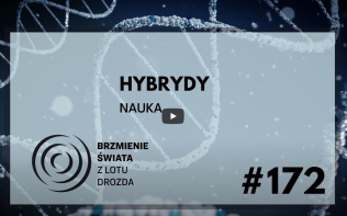 zdjęcie poglądowe
